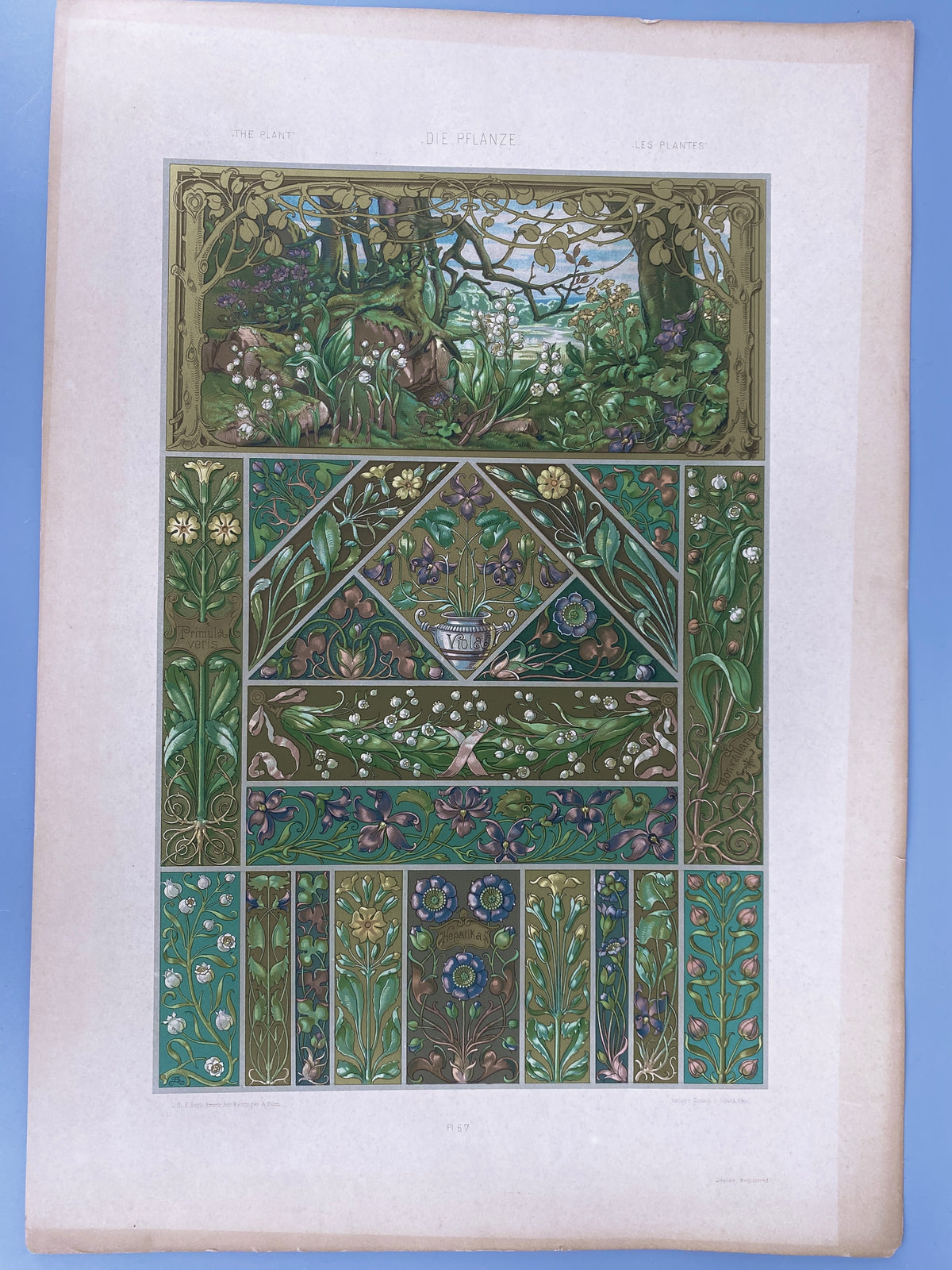 Blüten. Aus: Anton Seder - Die Pflanze in Kunst und Gewerbe. Blatt 57, Original Jugendstil.