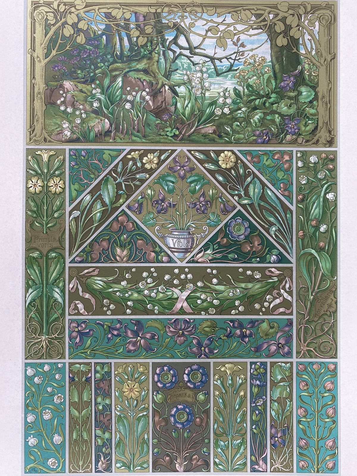 Blüten. Aus: Anton Seder - Die Pflanze in Kunst und Gewerbe. Blatt 57, Original Jugendstil.