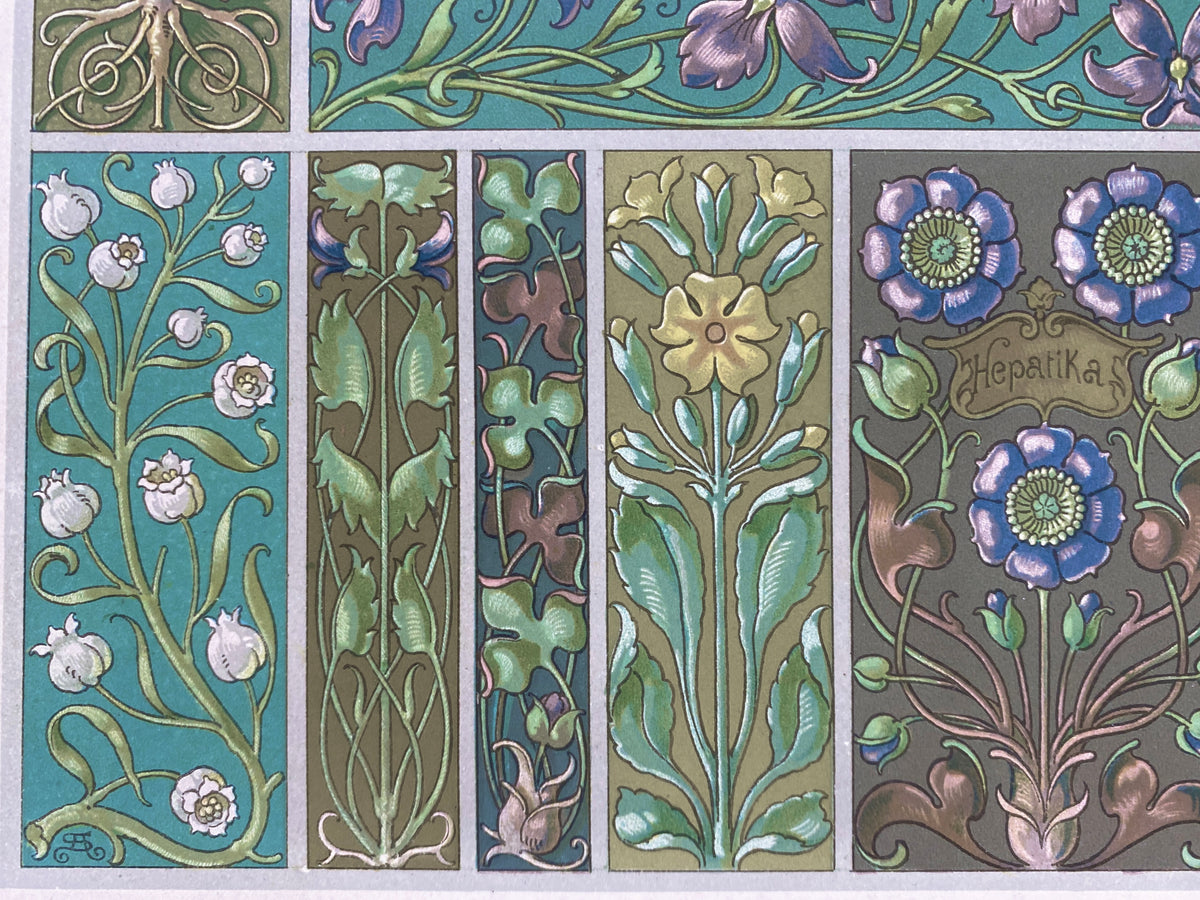 Blüten. Aus: Anton Seder - Die Pflanze in Kunst und Gewerbe. Blatt 57, Original Jugendstil.