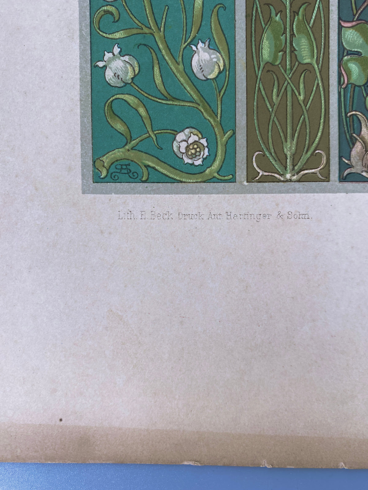 Blüten. Aus: Anton Seder - Die Pflanze in Kunst und Gewerbe. Blatt 57, Original Jugendstil.