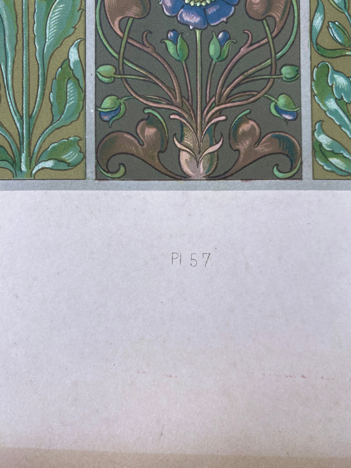 Blüten. Aus: Anton Seder - Die Pflanze in Kunst und Gewerbe. Blatt 57, Original Jugendstil.