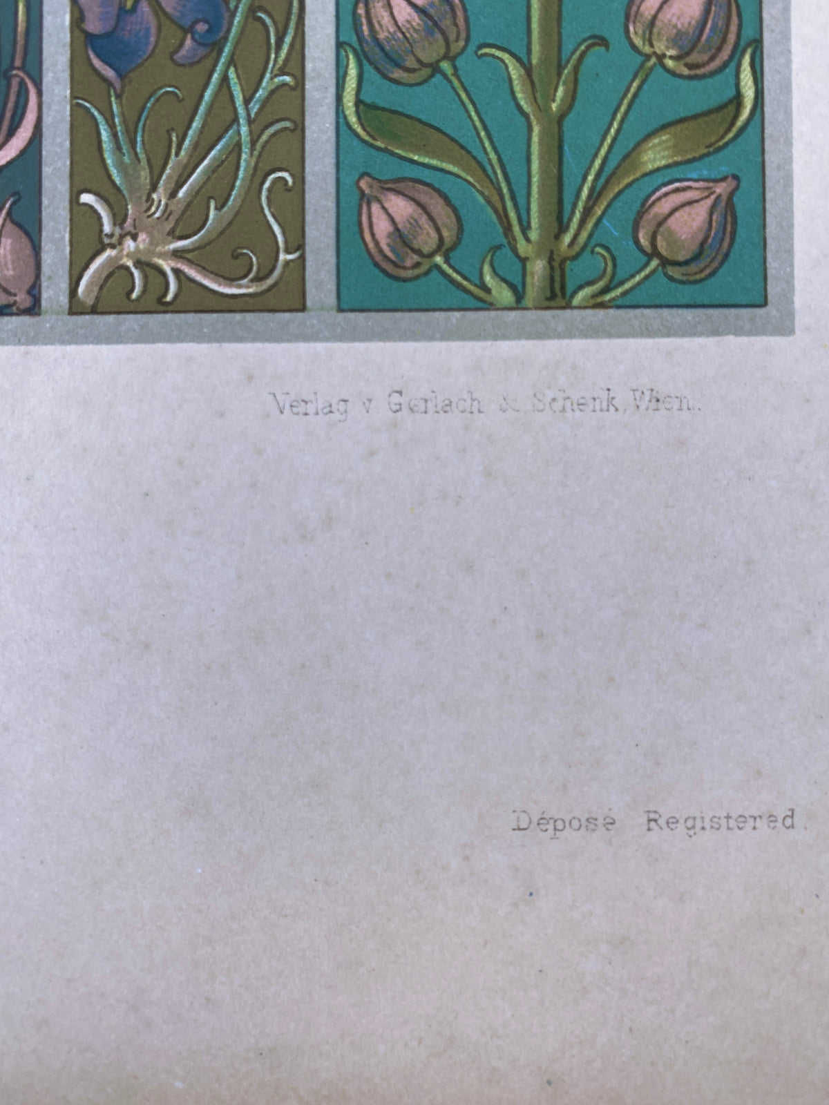 Blüten. Aus: Anton Seder - Die Pflanze in Kunst und Gewerbe. Blatt 57, Original Jugendstil.