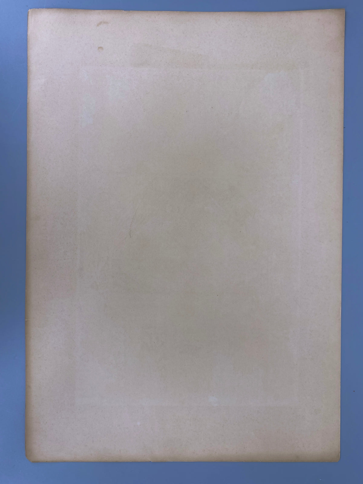 Blüten. Aus: Anton Seder - Die Pflanze in Kunst und Gewerbe. Blatt 57, Original Jugendstil.