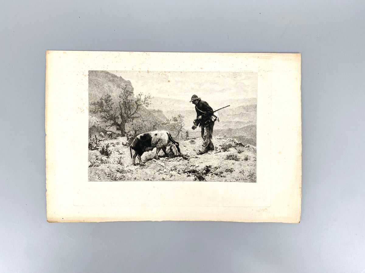 Paul Vayson - Recherche de la Truffe. Radierung