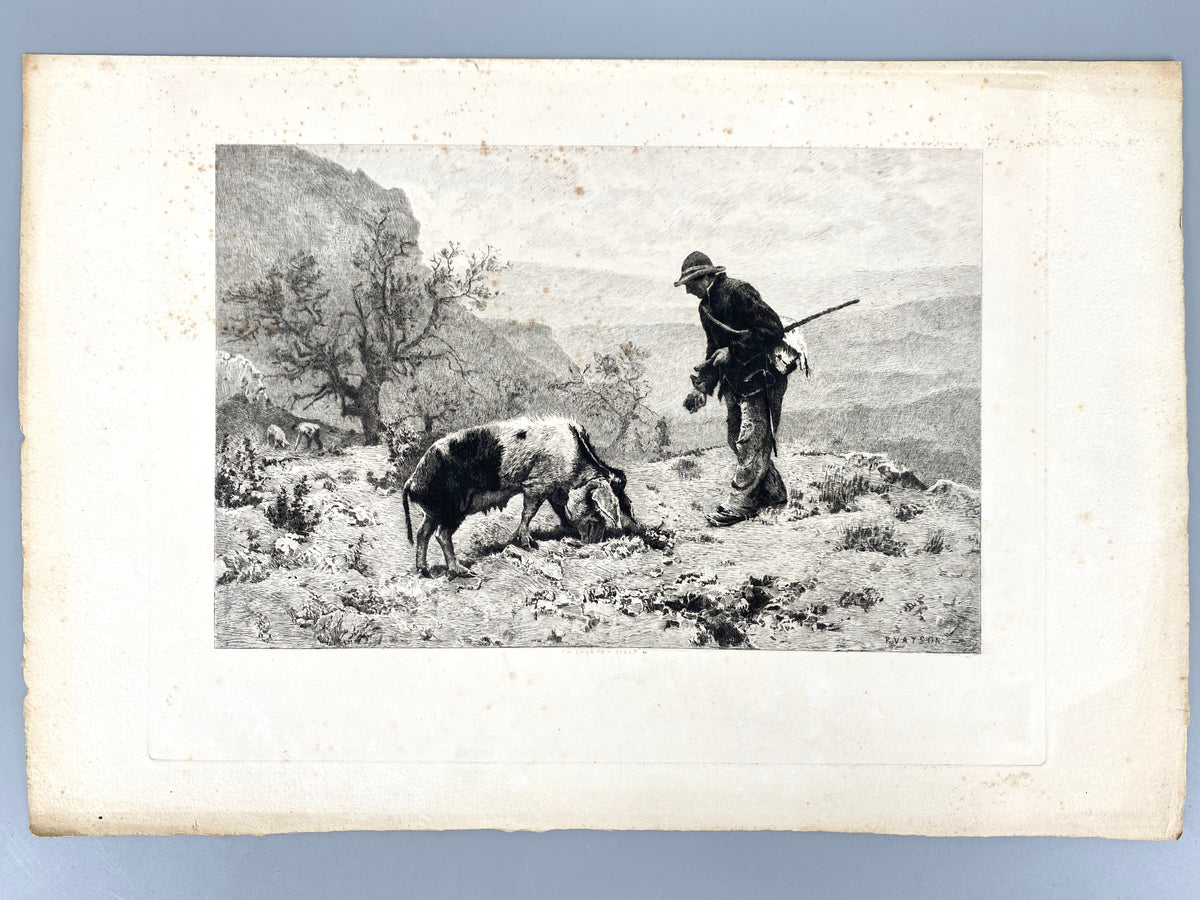 Paul Vayson - Recherche de la Truffe. Radierung