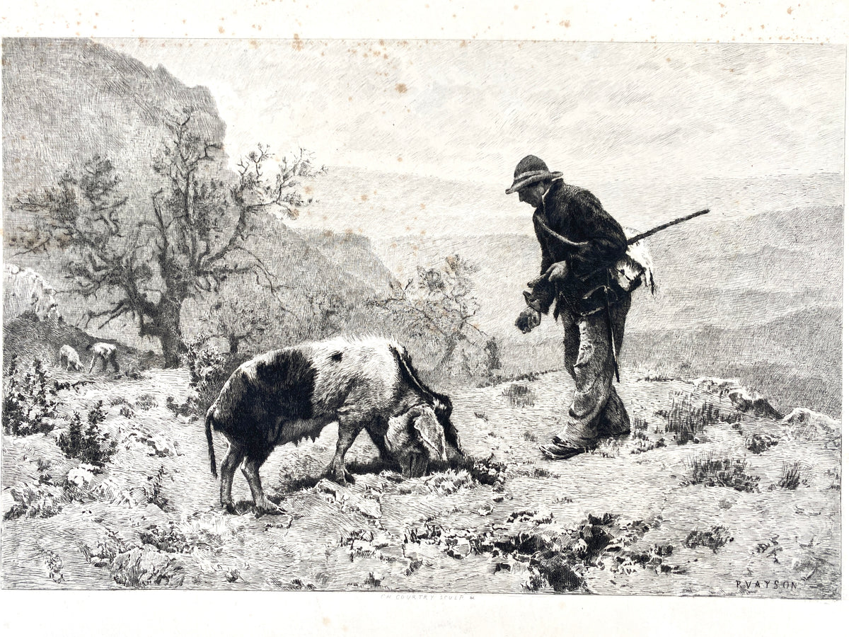 Paul Vayson - Recherche de la Truffe. Radierung
