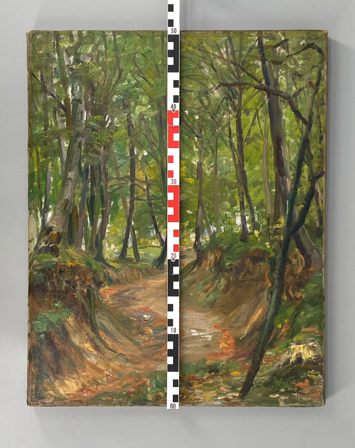 Handsigniertes Ölgemälde "Waldlandschaft" auf Leinwand von Heinrich Houben (1885–1967) aus Bonn