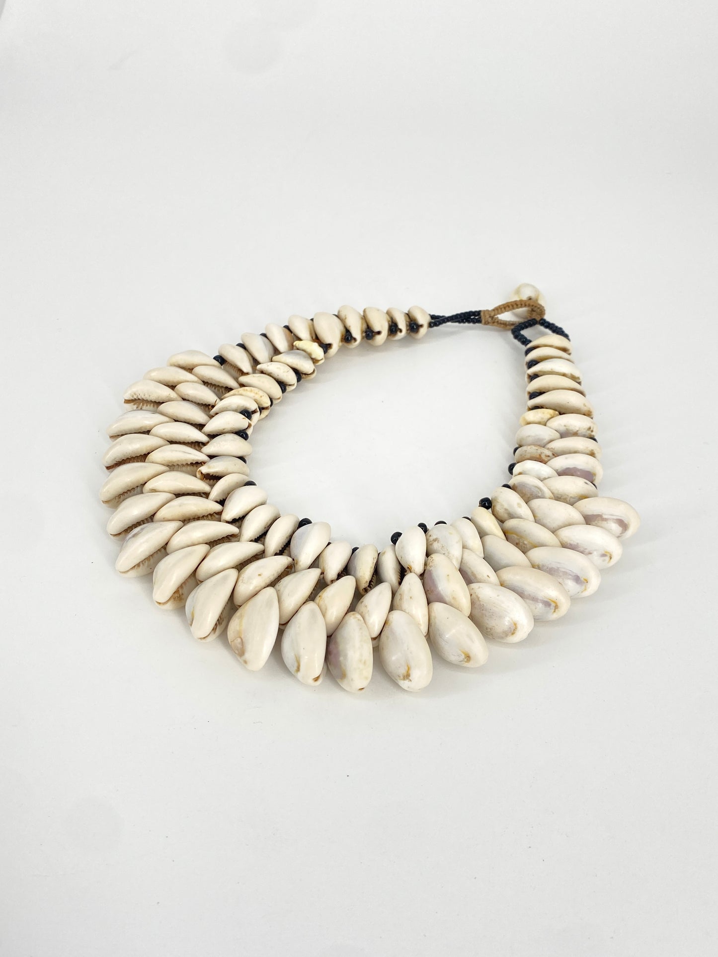 Kauri Muschel Collier