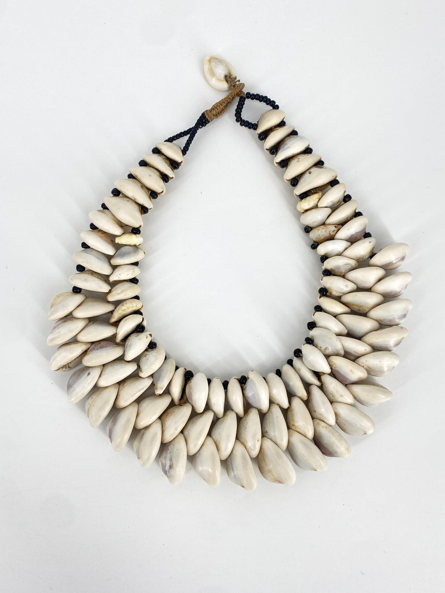 Kauri Muschel Collier