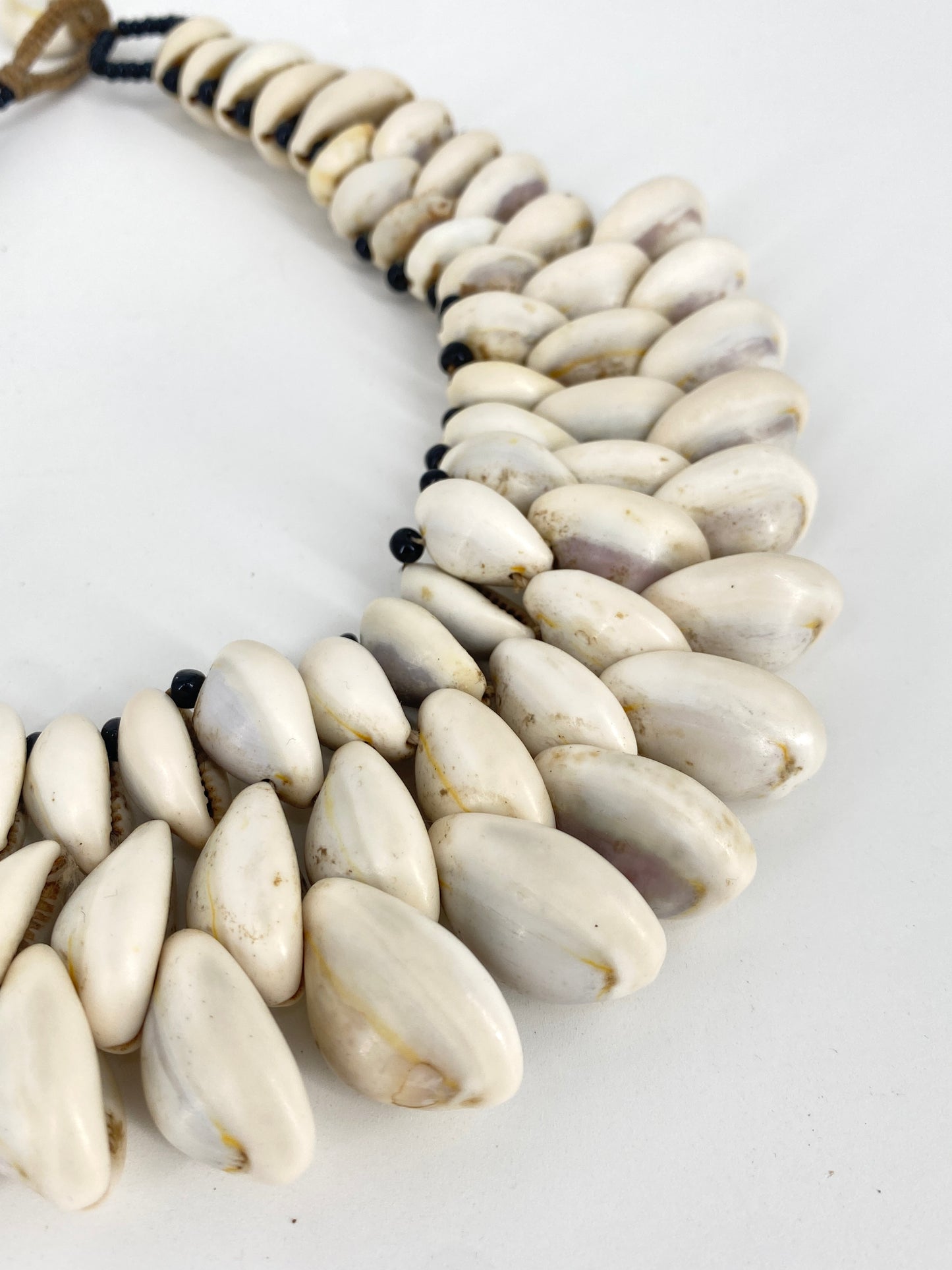 Kauri Muschel Collier