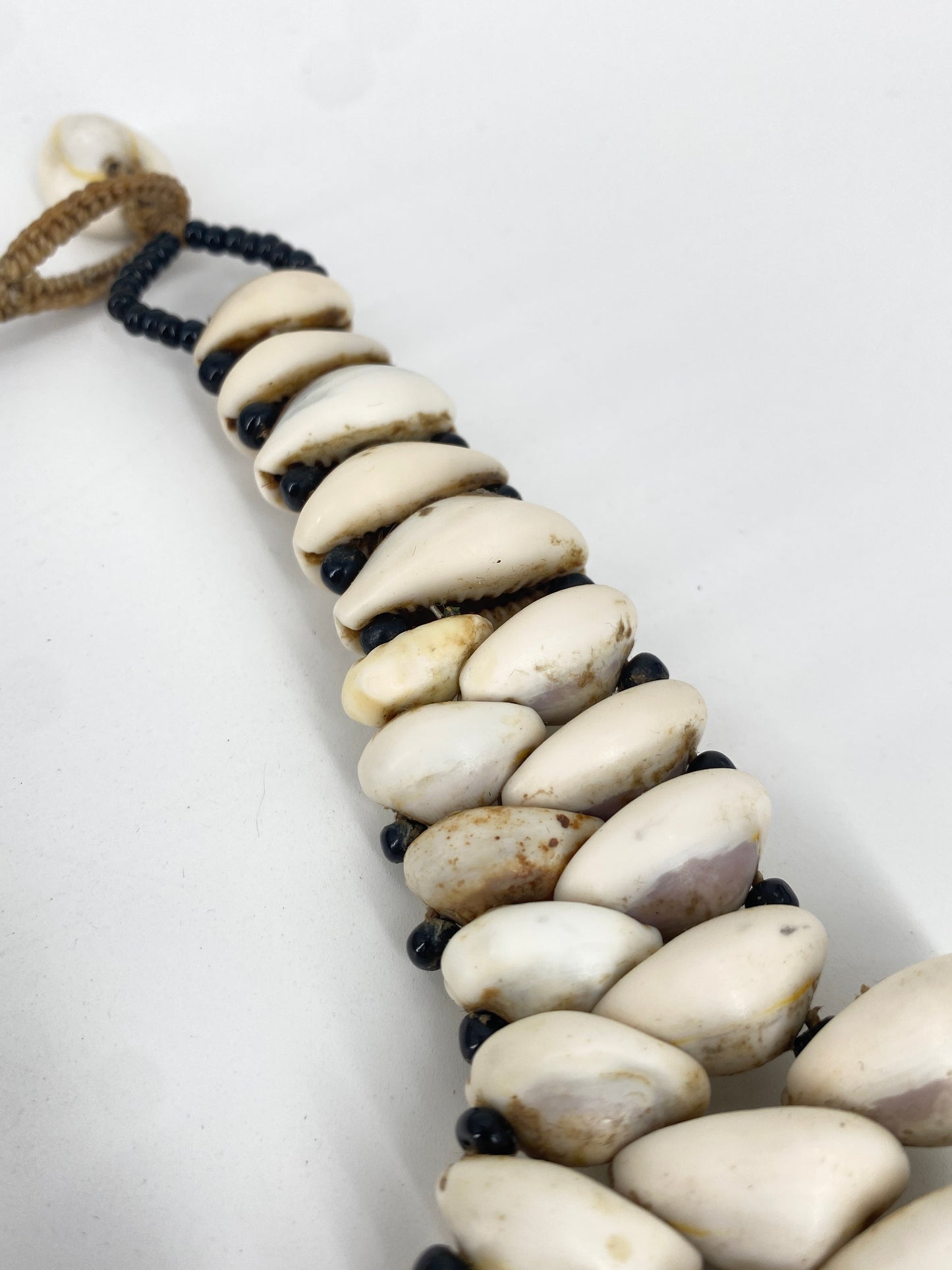 Kauri Muschel Collier