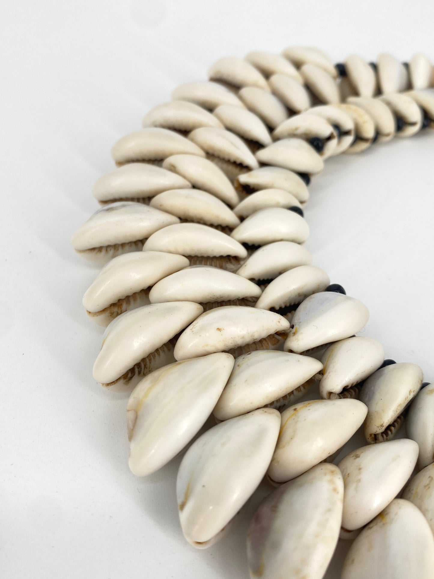 Kauri Muschel Collier