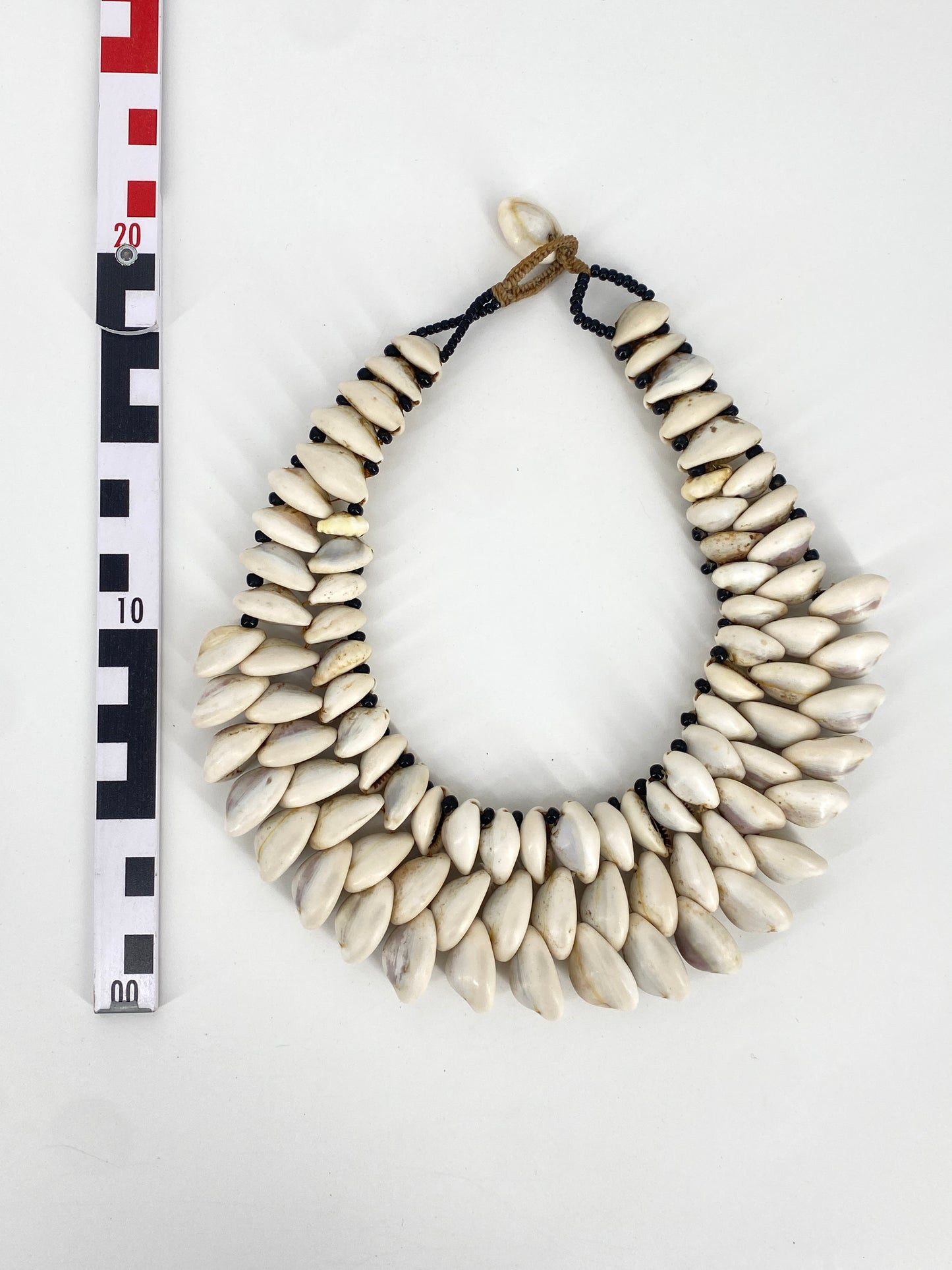 Kauri Muschel Collier