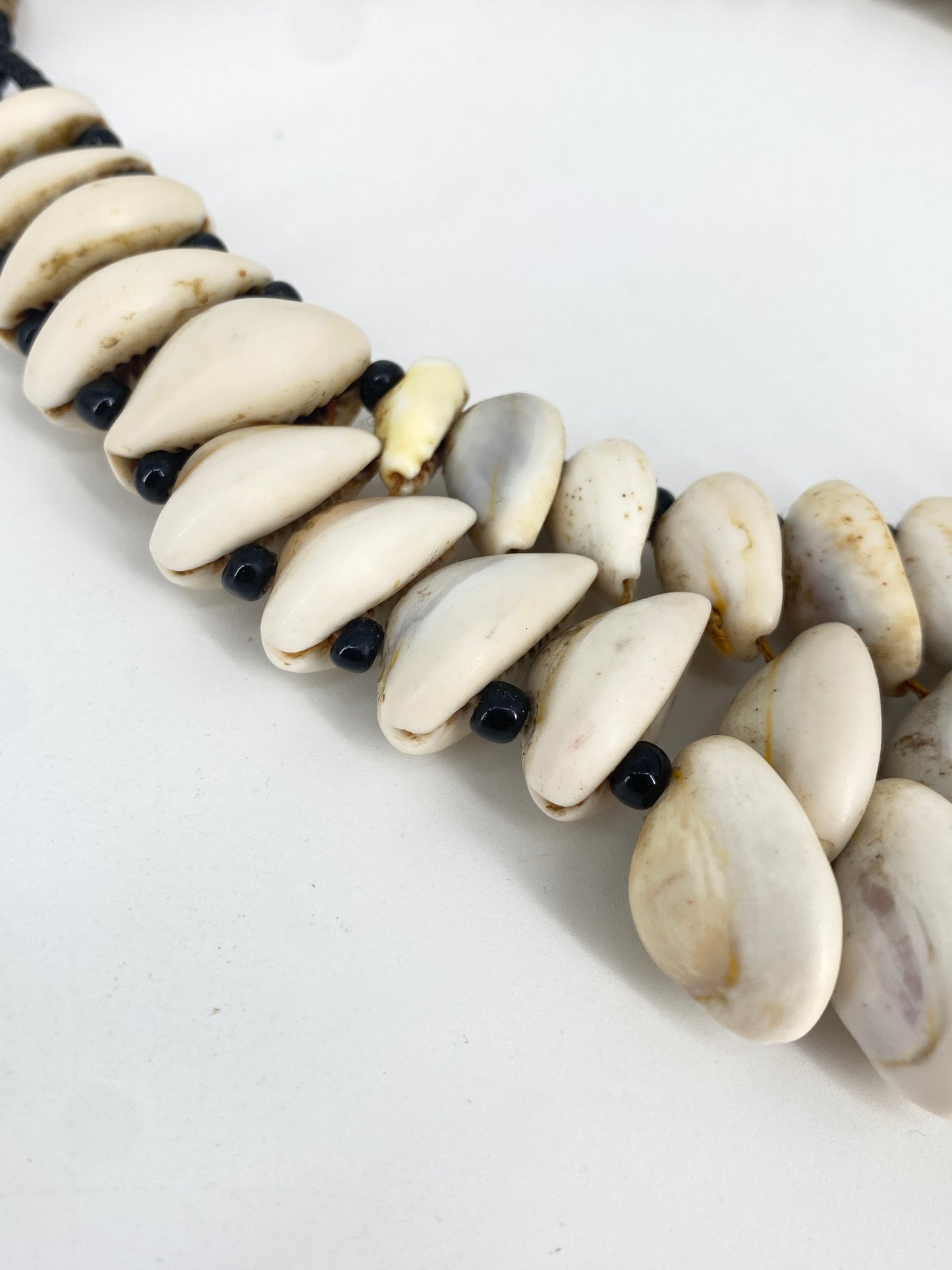 Kauri Muschel Collier