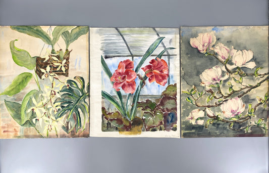 Drei dekorative Aquarelle / Blumenstillleben von Forstner, Botanisches Institut Potsdam 1955