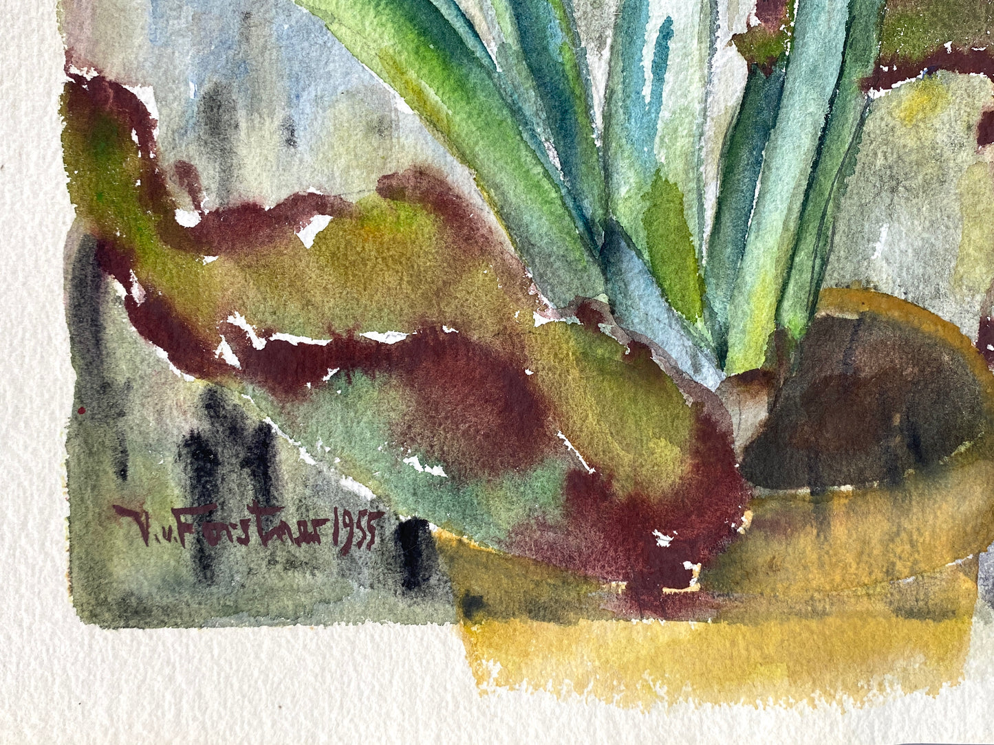 Drei dekorative Aquarelle / Blumenstillleben von Forstner, Botanisches Institut Potsdam 1955