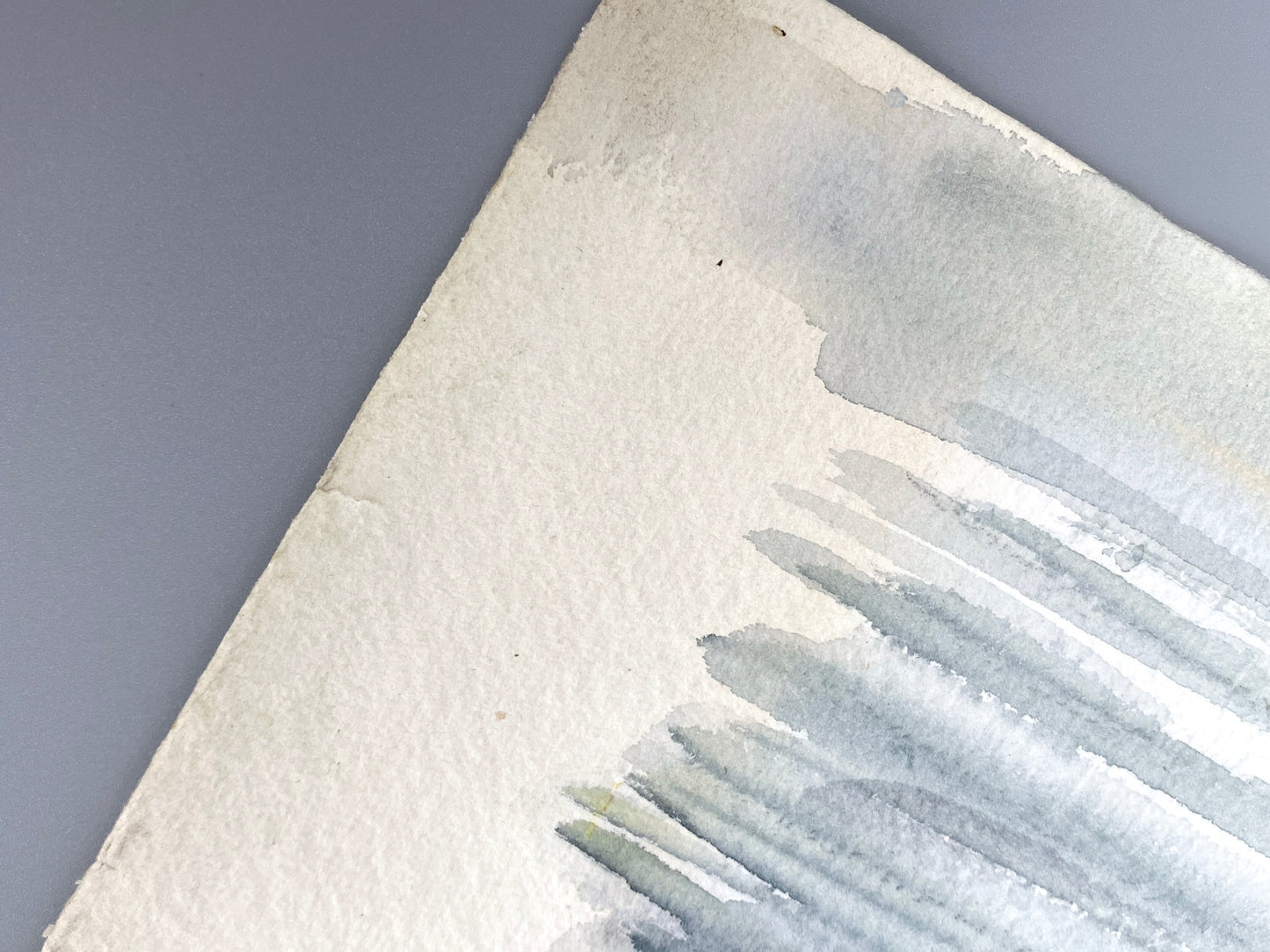 Drei dekorative Aquarelle / Blumenstillleben von Forstner, Botanisches Institut Potsdam 1955