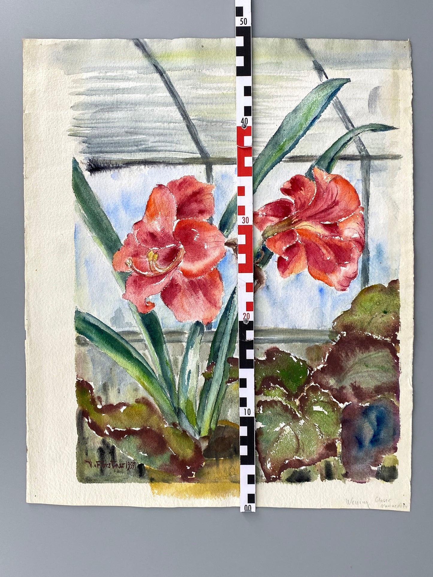 Drei dekorative Aquarelle / Blumenstillleben von Forstner, Botanisches Institut Potsdam 1955