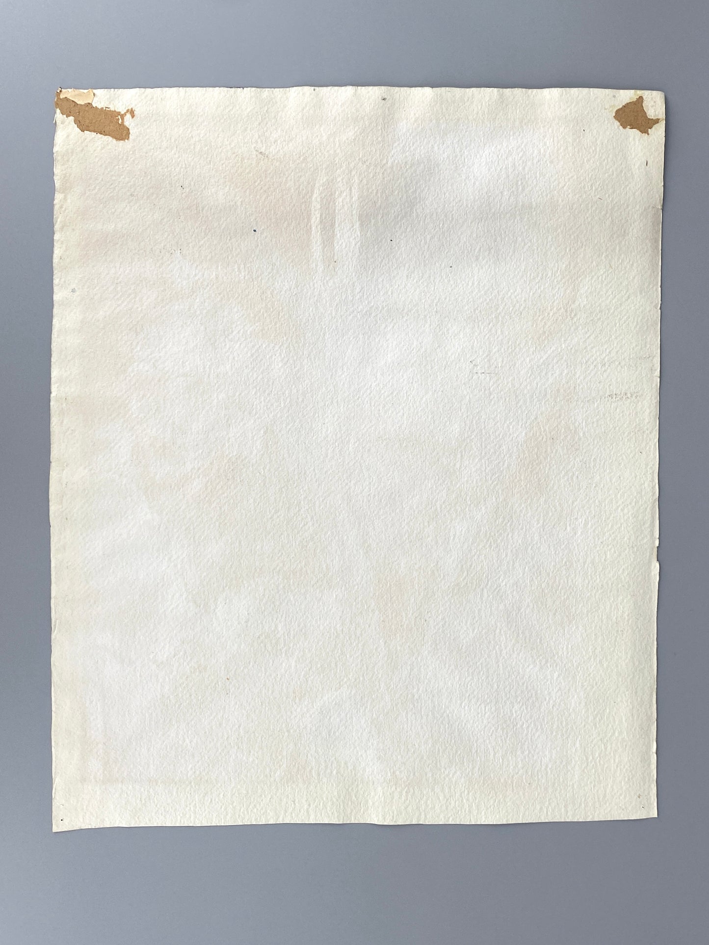 Drei dekorative Aquarelle / Blumenstillleben von Forstner, Botanisches Institut Potsdam 1955