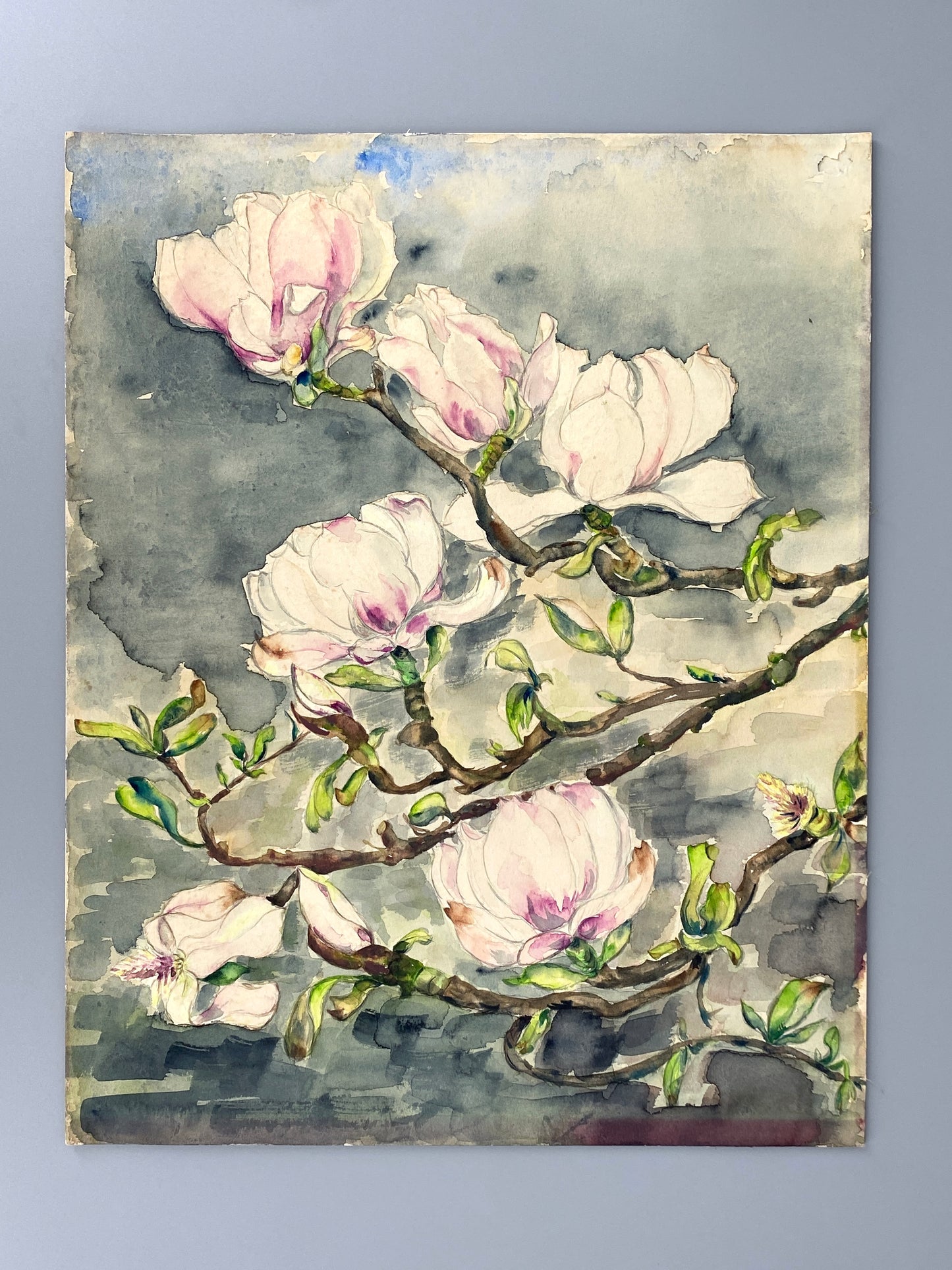 Drei dekorative Aquarelle / Blumenstillleben von Forstner, Botanisches Institut Potsdam 1955