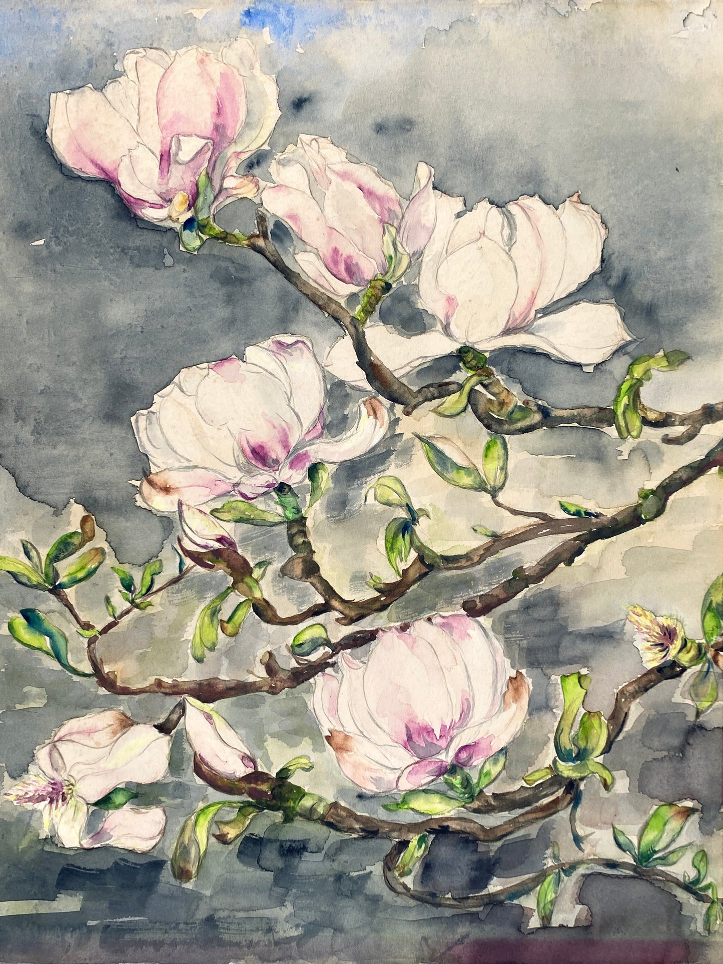 Drei dekorative Aquarelle / Blumenstillleben von Forstner, Botanisches Institut Potsdam 1955