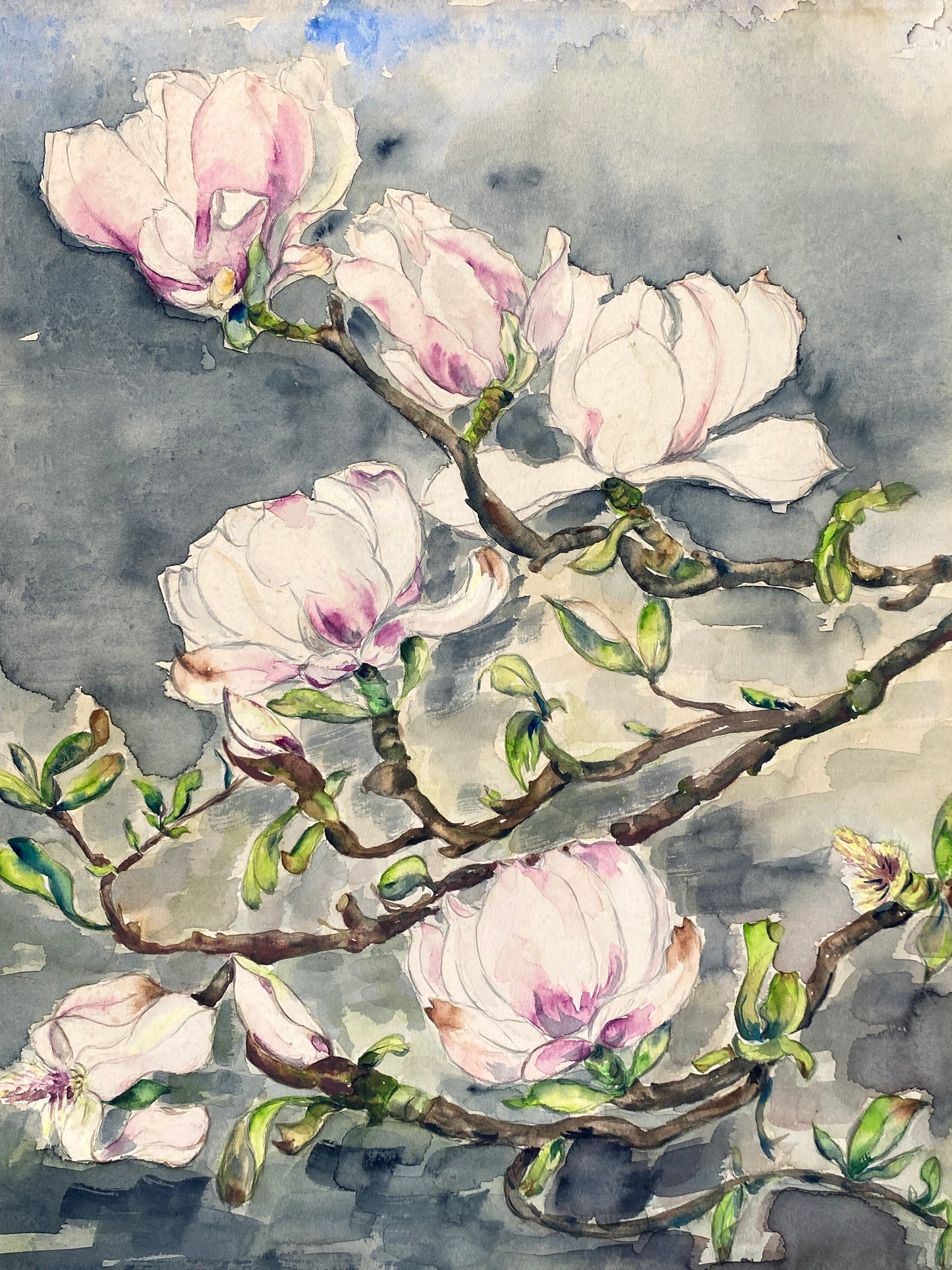 Drei dekorative Aquarelle / Blumenstillleben von Forstner, Botanisches Institut Potsdam 1955