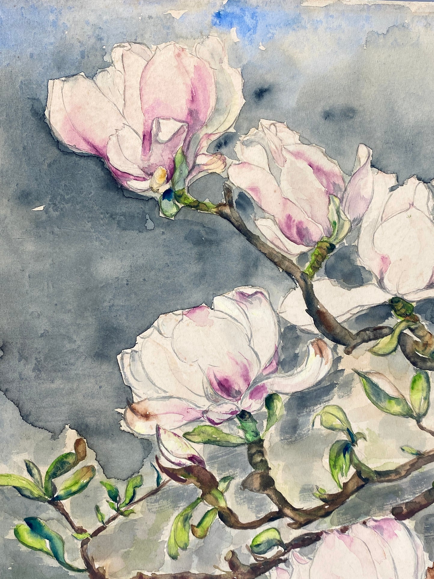 Drei dekorative Aquarelle / Blumenstillleben von Forstner, Botanisches Institut Potsdam 1955