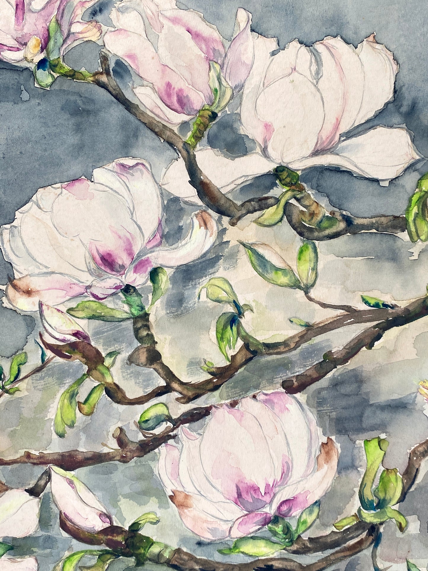 Drei dekorative Aquarelle / Blumenstillleben von Forstner, Botanisches Institut Potsdam 1955