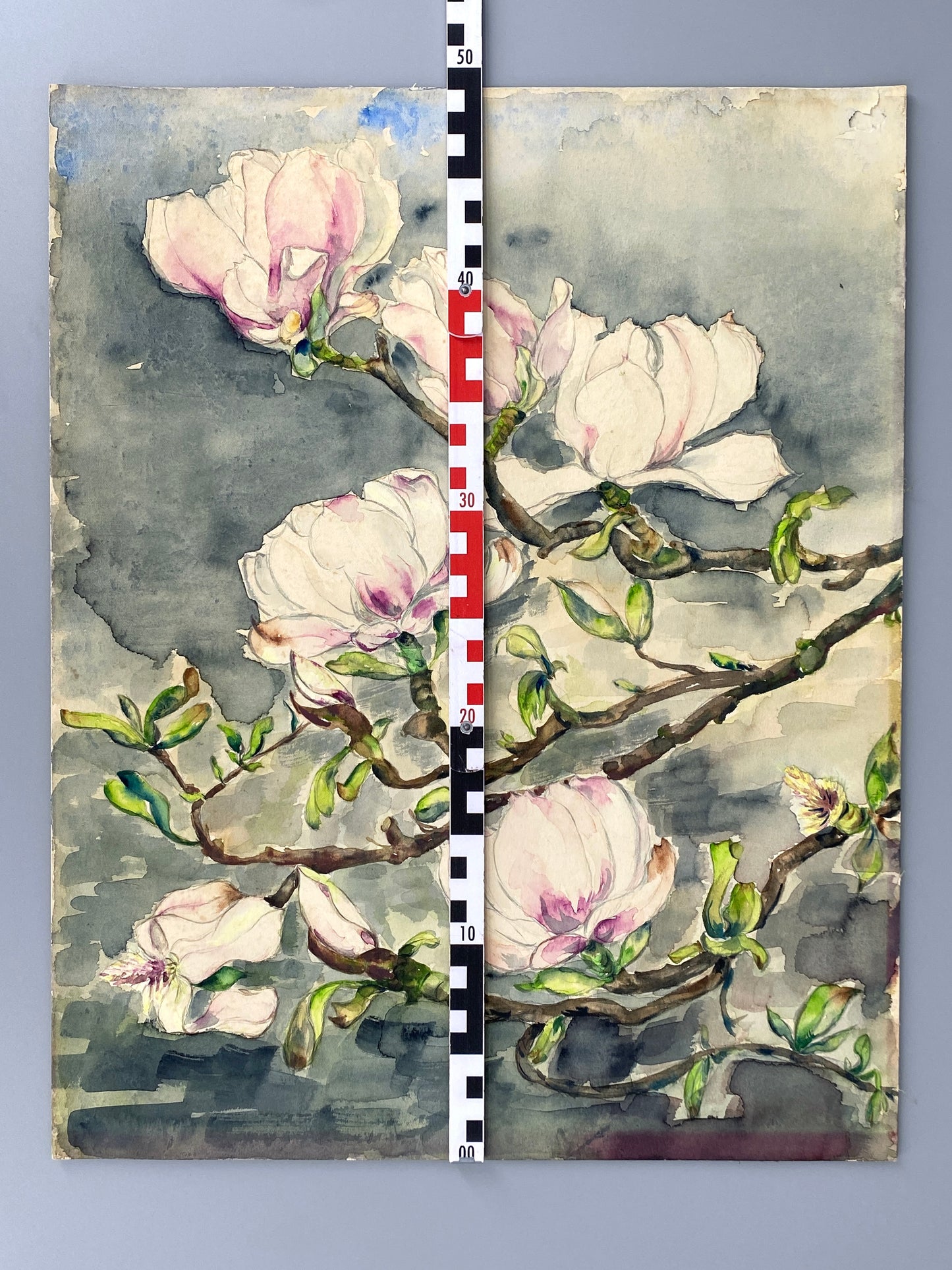 Drei dekorative Aquarelle / Blumenstillleben von Forstner, Botanisches Institut Potsdam 1955