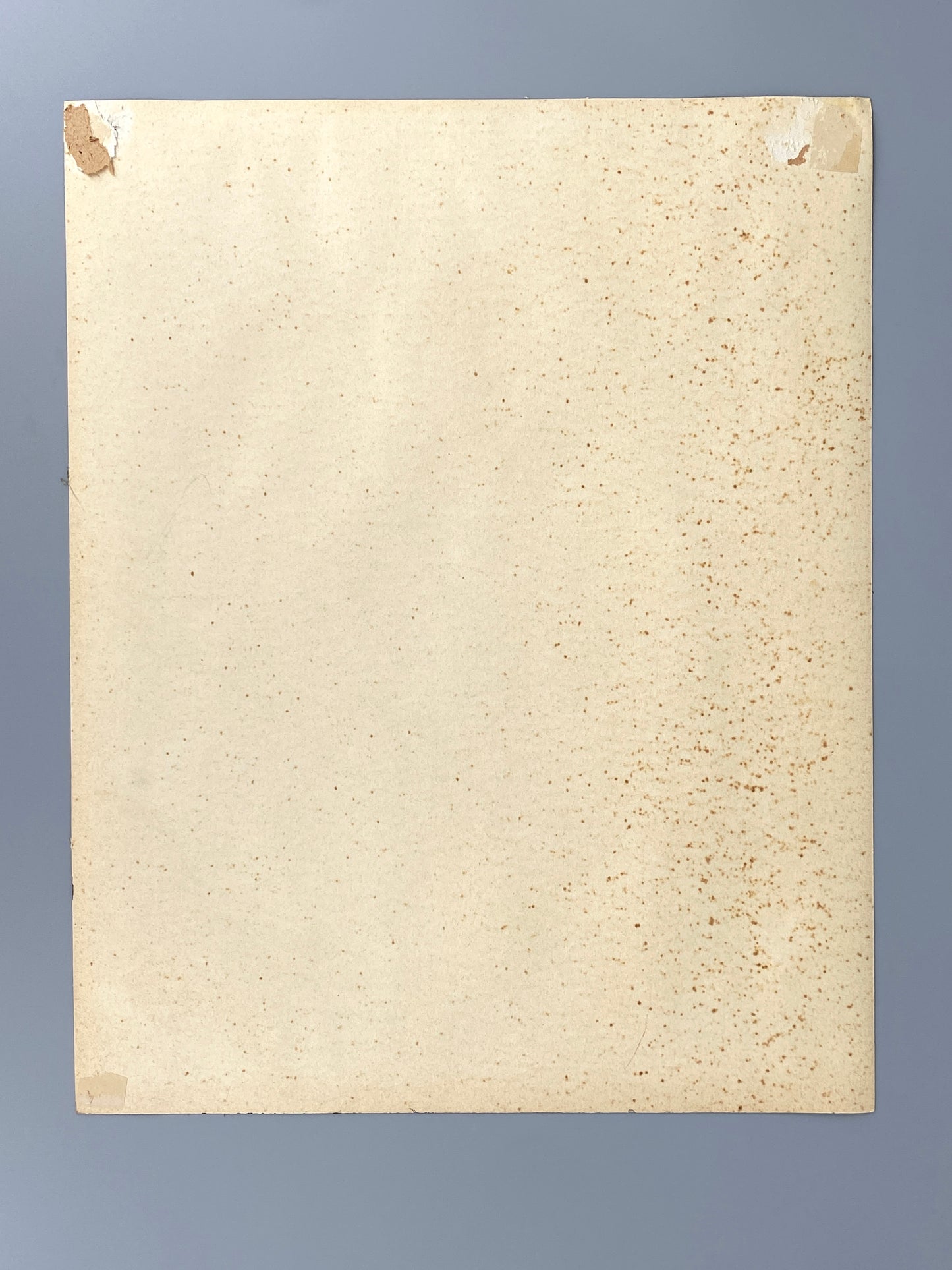 Drei dekorative Aquarelle / Blumenstillleben von Forstner, Botanisches Institut Potsdam 1955