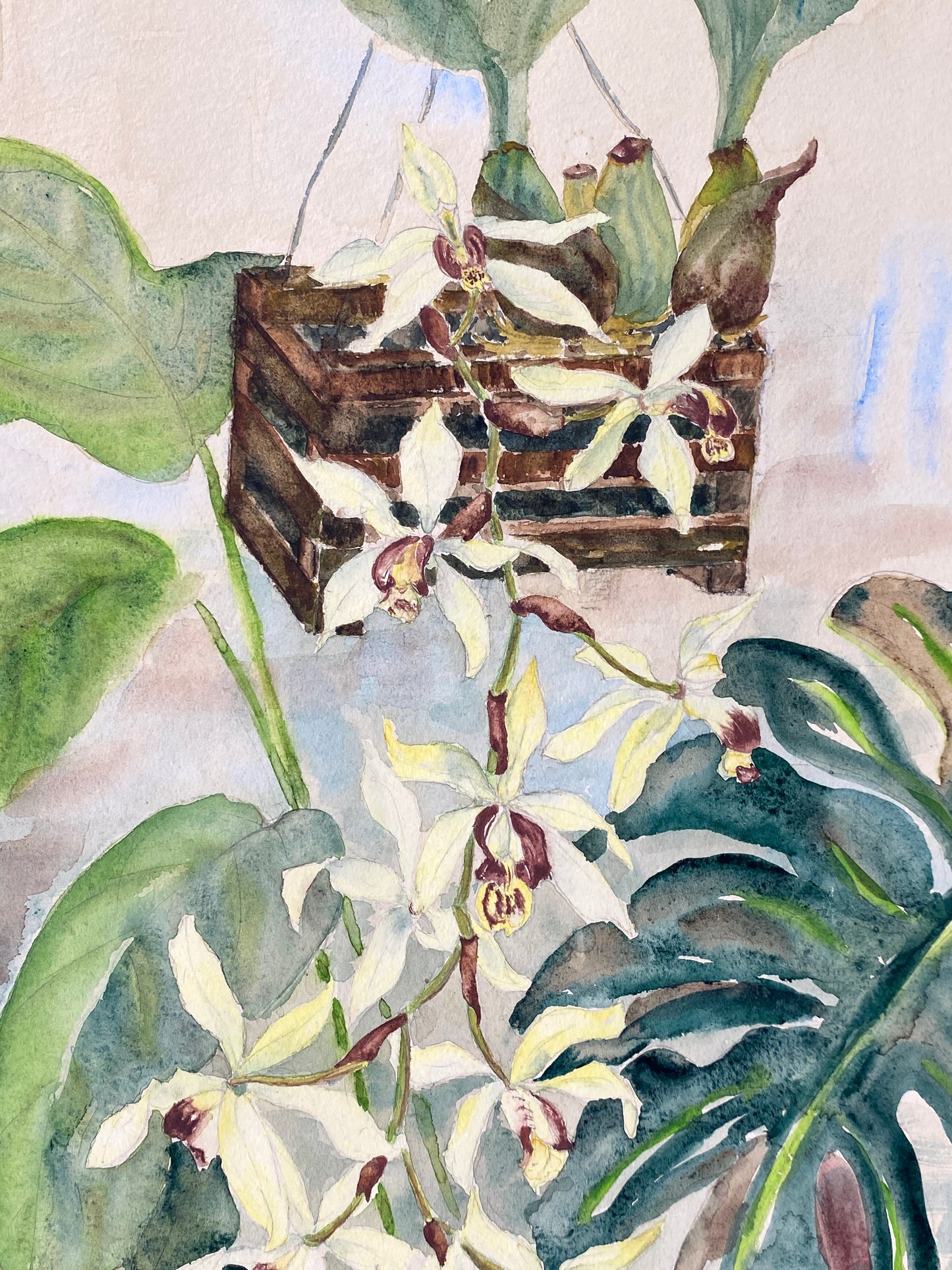 Drei dekorative Aquarelle / Blumenstillleben von Forstner, Botanisches Institut Potsdam 1955