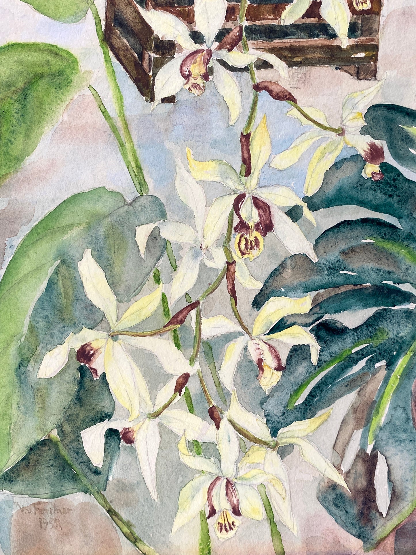 Drei dekorative Aquarelle / Blumenstillleben von Forstner, Botanisches Institut Potsdam 1955