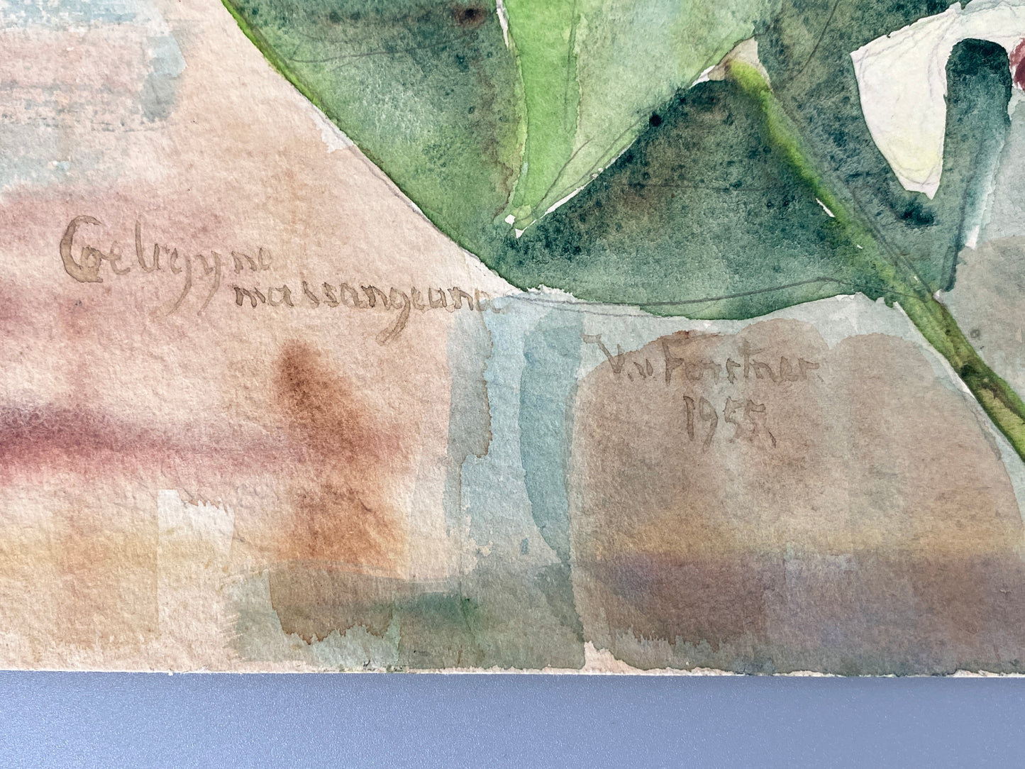 Drei dekorative Aquarelle / Blumenstillleben von Forstner, Botanisches Institut Potsdam 1955