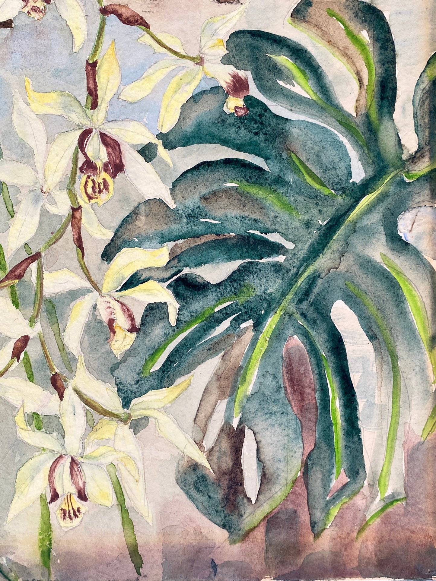 Drei dekorative Aquarelle / Blumenstillleben von Forstner, Botanisches Institut Potsdam 1955