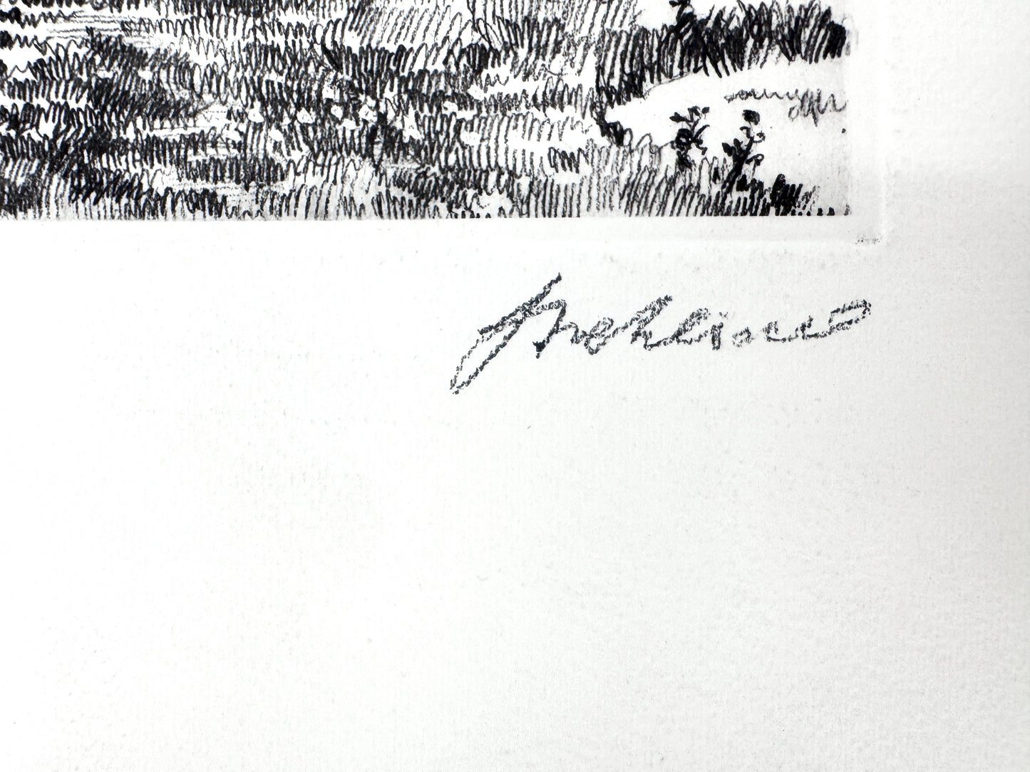 Beethovenhaus Bonn. Druckgrafik von Heinz Wehlisch