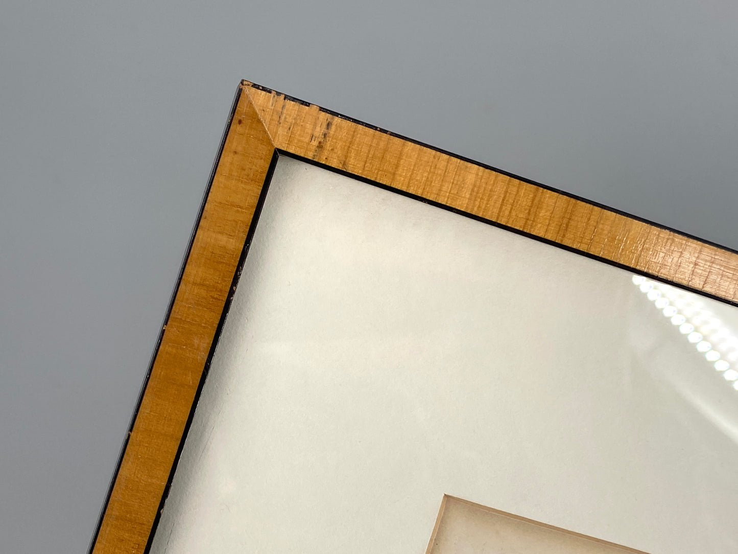 Zwei kolorierte Kupferstiche in Punktiermanier von Pierre-Joseph Redouté (1759-1840), 1820er Jahre