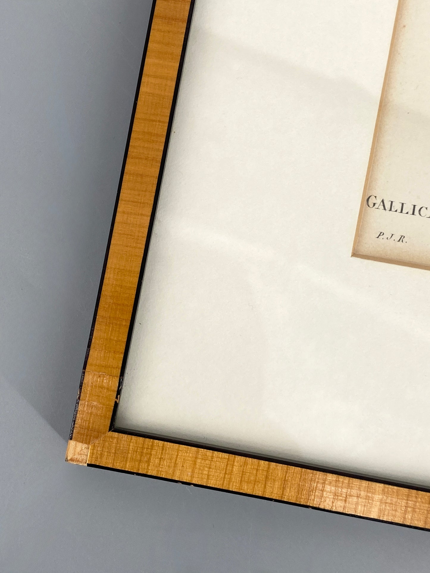 Zwei kolorierte Kupferstiche in Punktiermanier von Pierre-Joseph Redouté (1759-1840), 1820er Jahre