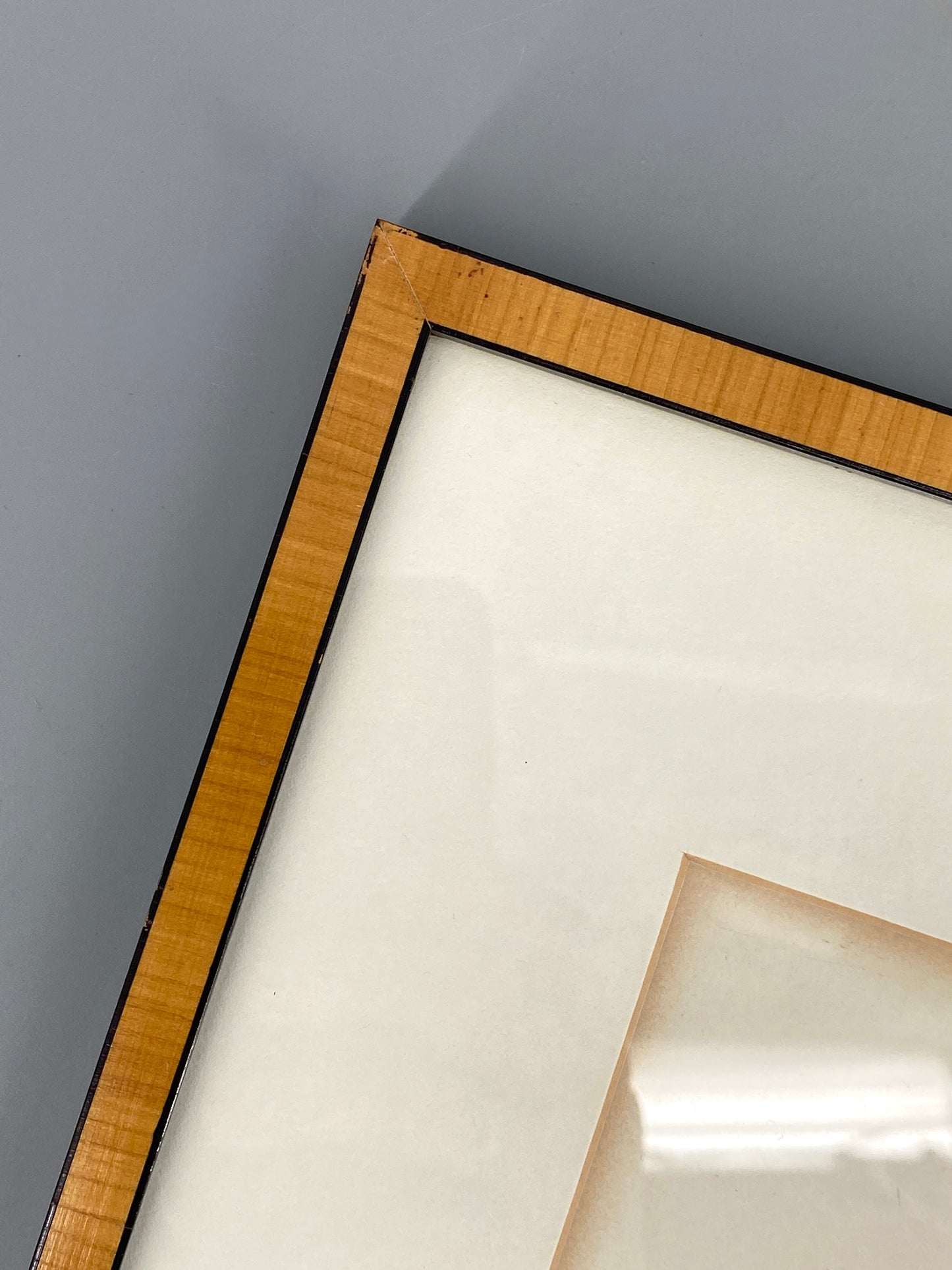 Zwei kolorierte Kupferstiche in Punktiermanier von Pierre-Joseph Redouté (1759-1840), 1820er Jahre