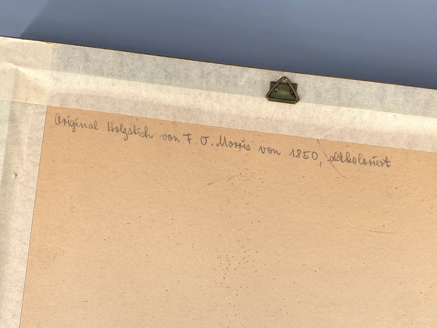 Handkolorierter Holzstich "White-fronted Goose" von Beverley R. Morris, 1855