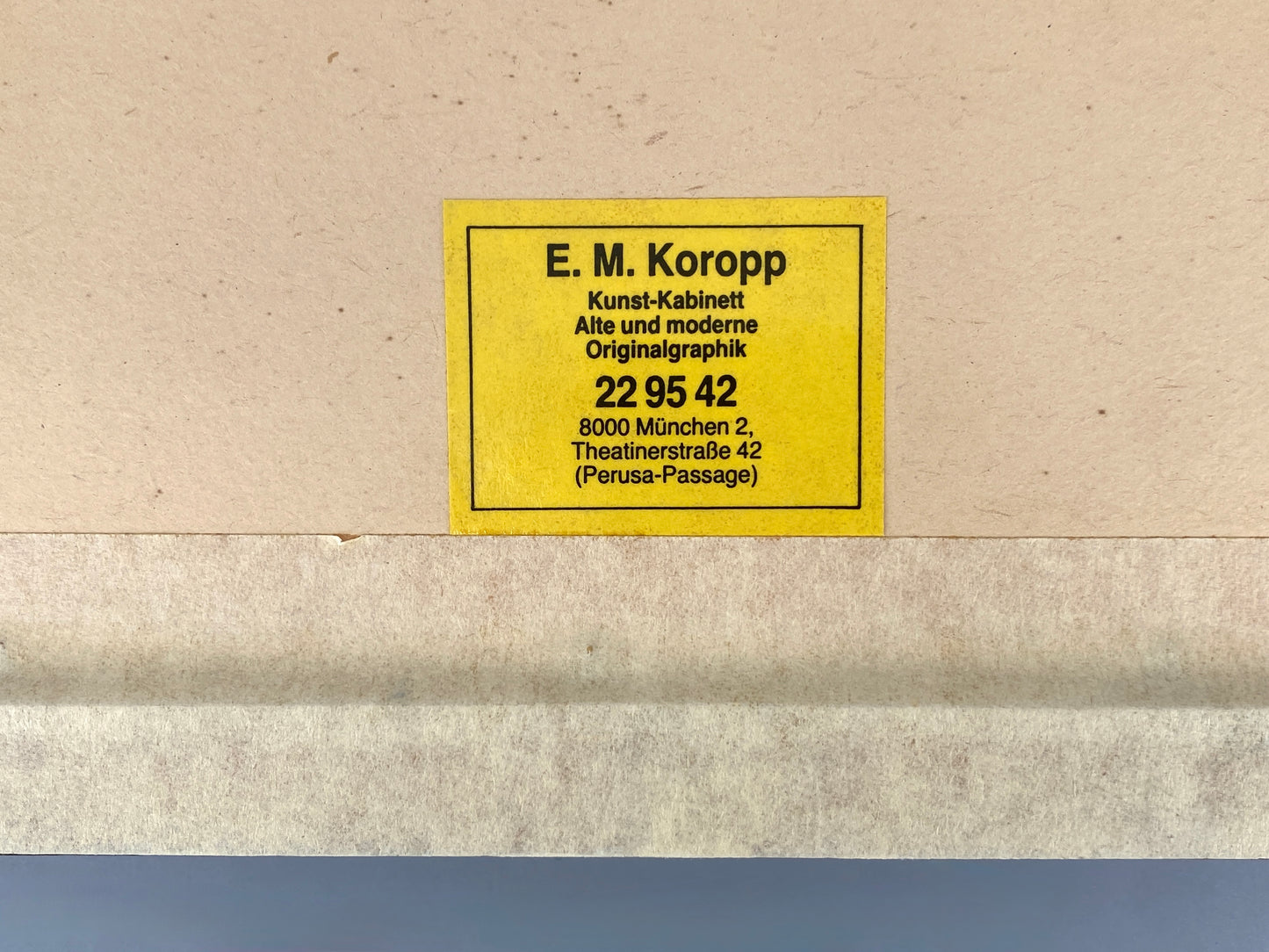 Handkolorierter Holzstich "White-fronted Goose" von Beverley R. Morris, 1855