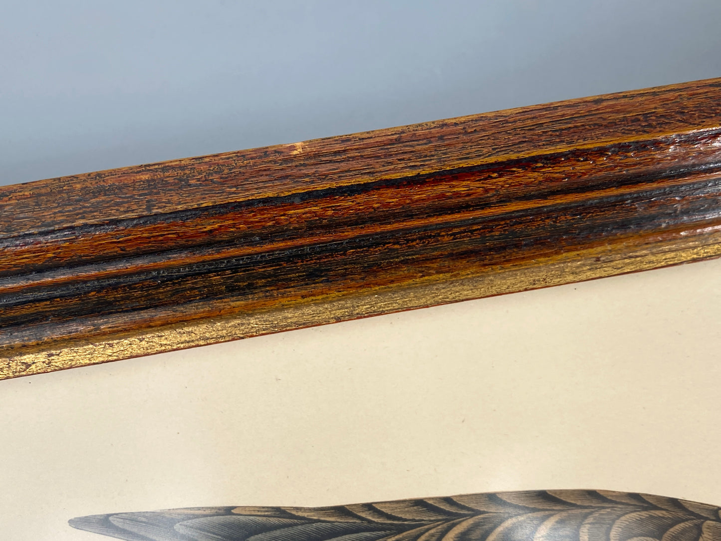 Handkolorierter Holzstich "White-fronted Goose" von Beverley R. Morris, 1855