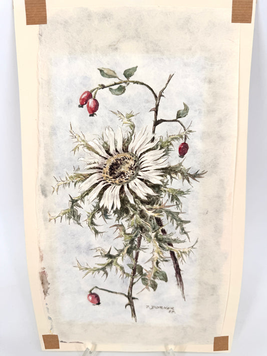 Verdorrte Distel mit Beeren. Aquarell von Josef Dorner