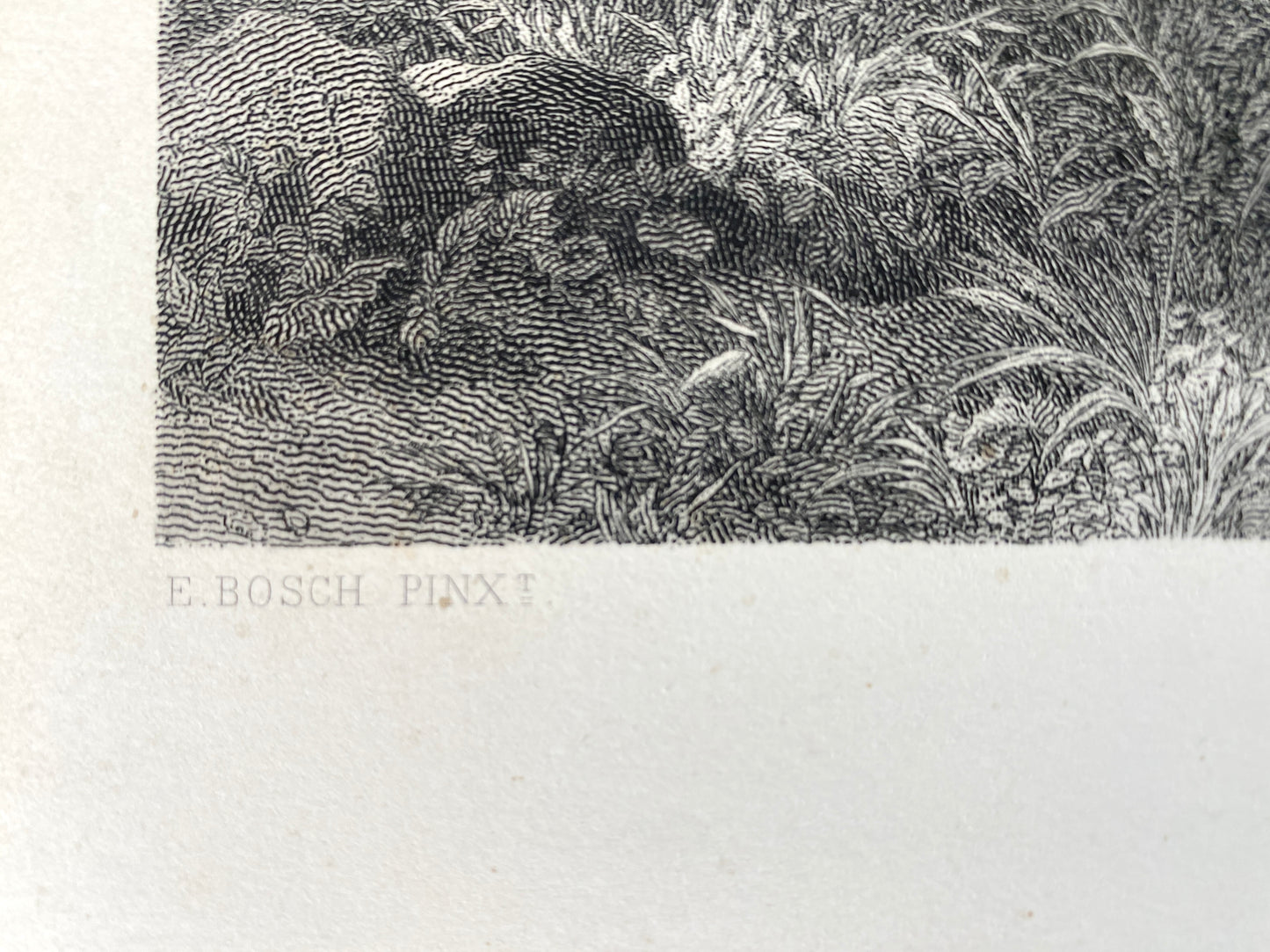 Ernst Bosch - Fern der Heimath