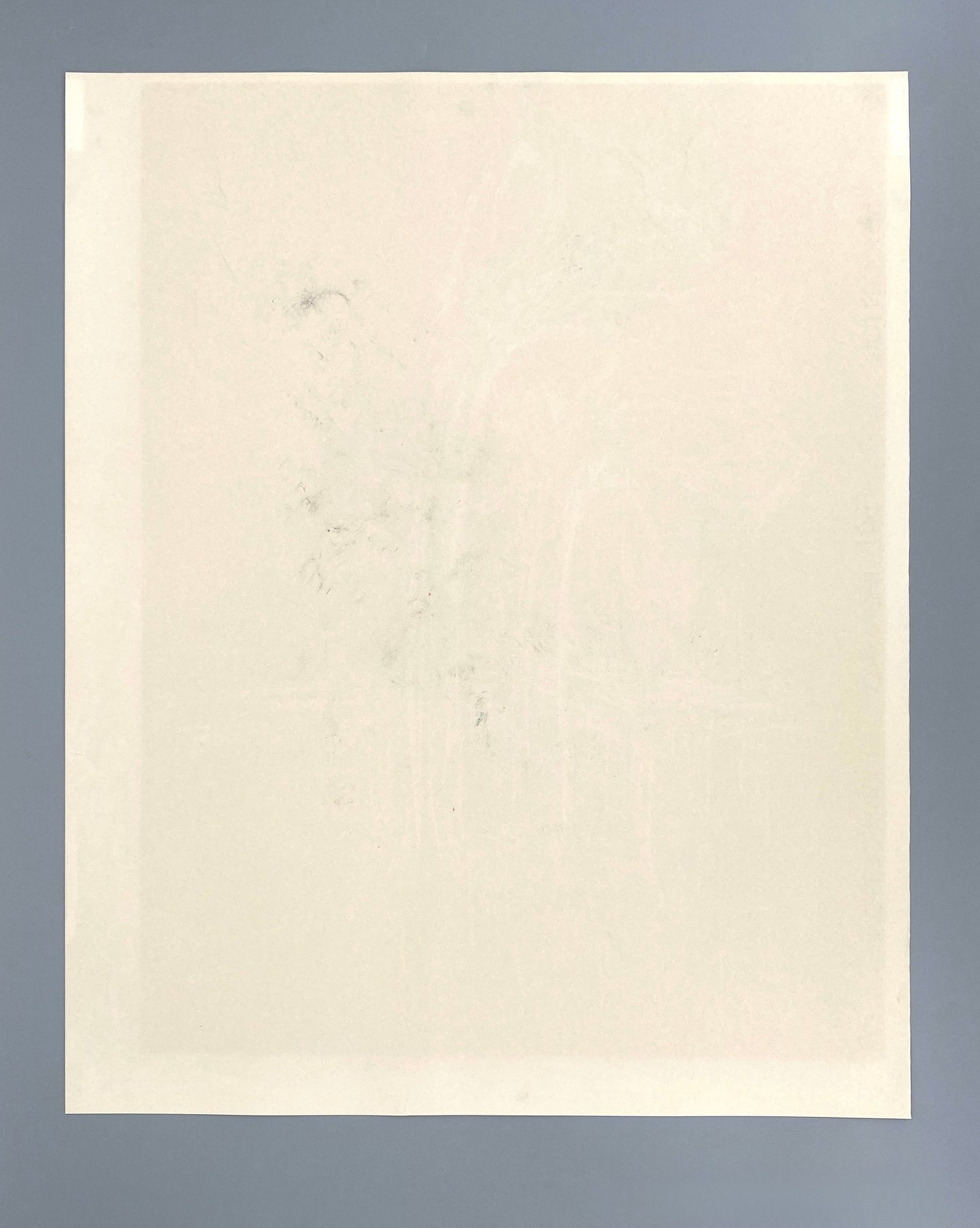 Kreidezeichnung "Weiße Amaryllis" von Roland Ladwig, 1988