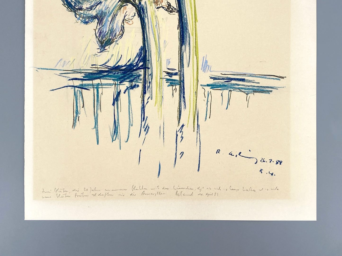 Kreidezeichnung "Weiße Amaryllis" von Roland Ladwig, 1988