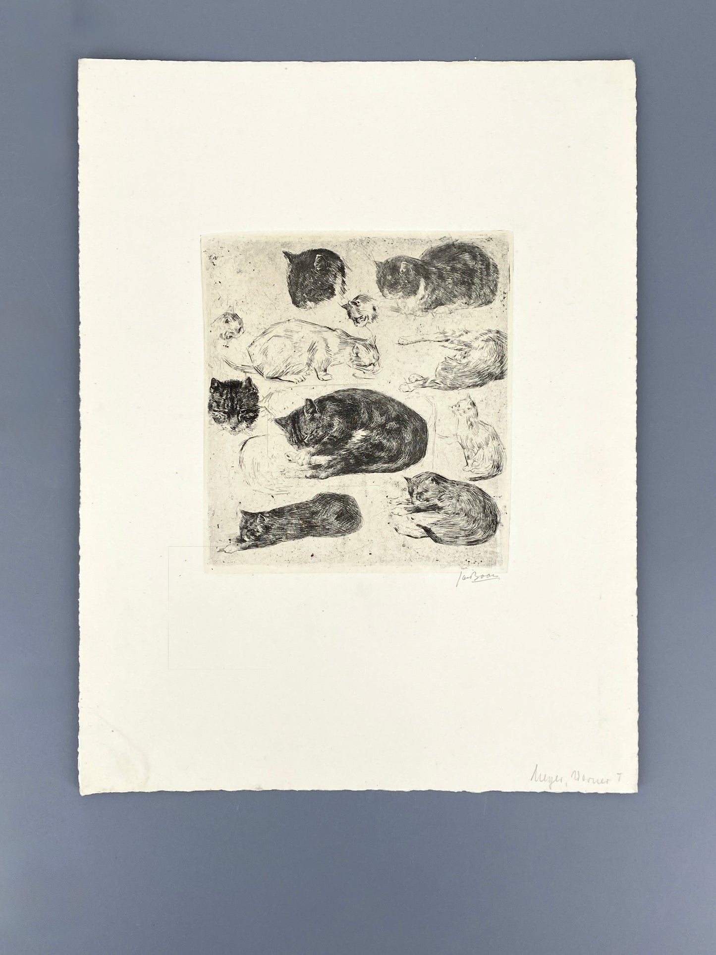 Radierung "Katzen" von Jan Boon (1882–1975), Edition der Griffelkunst-Vereinigung, Hamburg 1965