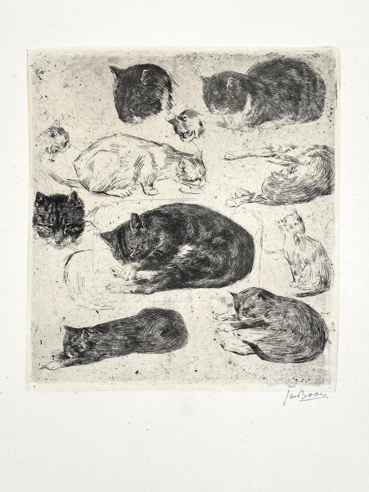 Radierung "Katzen" von Jan Boon (1882–1975), Edition der Griffelkunst-Vereinigung, Hamburg 1965