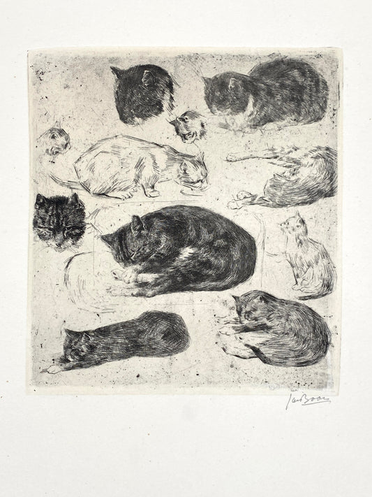 Radierung "Katzen" von Jan Boon (1882–1975), Edition der Griffelkunst-Vereinigung, Hamburg 1965
