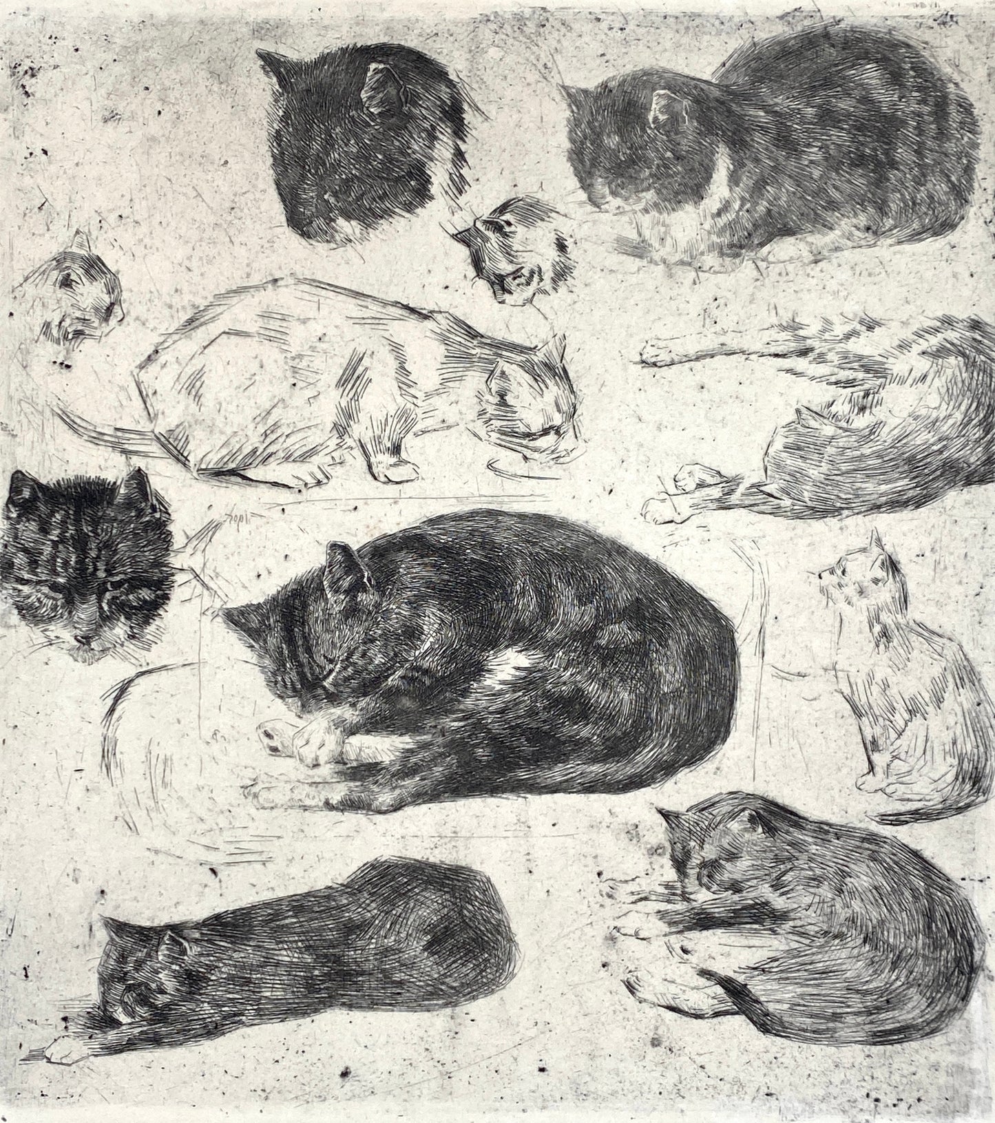 Radierung "Katzen" von Jan Boon (1882–1975), Edition der Griffelkunst-Vereinigung, Hamburg 1965
