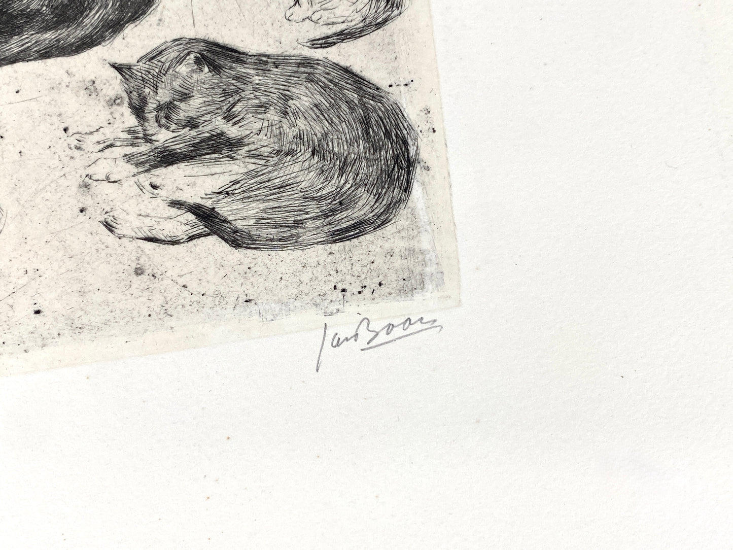 Radierung "Katzen" von Jan Boon (1882–1975), Edition der Griffelkunst-Vereinigung, Hamburg 1965